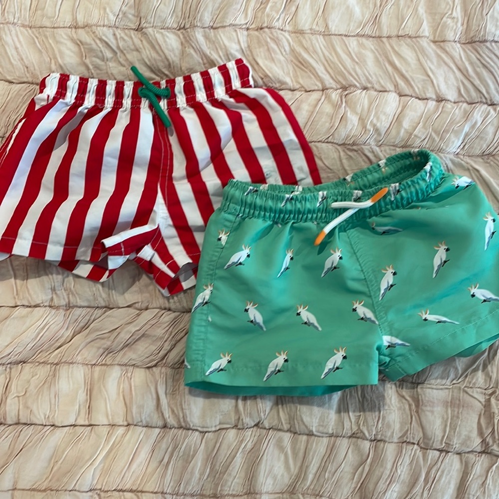Zara swim trunks